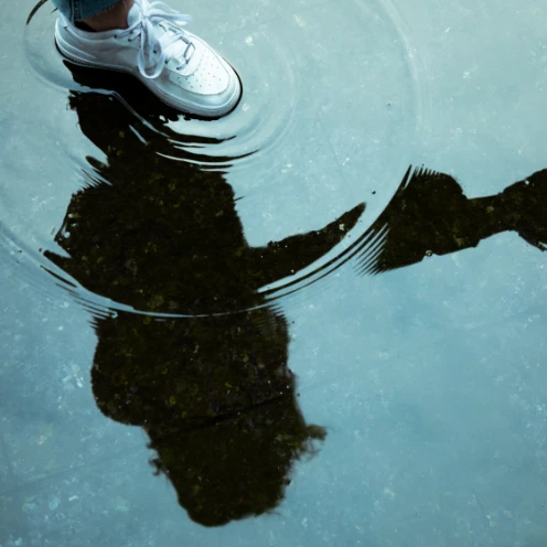 surface water