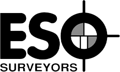 ESO-Surveyors